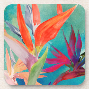 Vivid Birds of Paradise Coaster