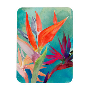 Vivid Birds of Paradise Magnet