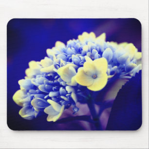 Vivid Blue Hydrangea Flower Mouse Mat