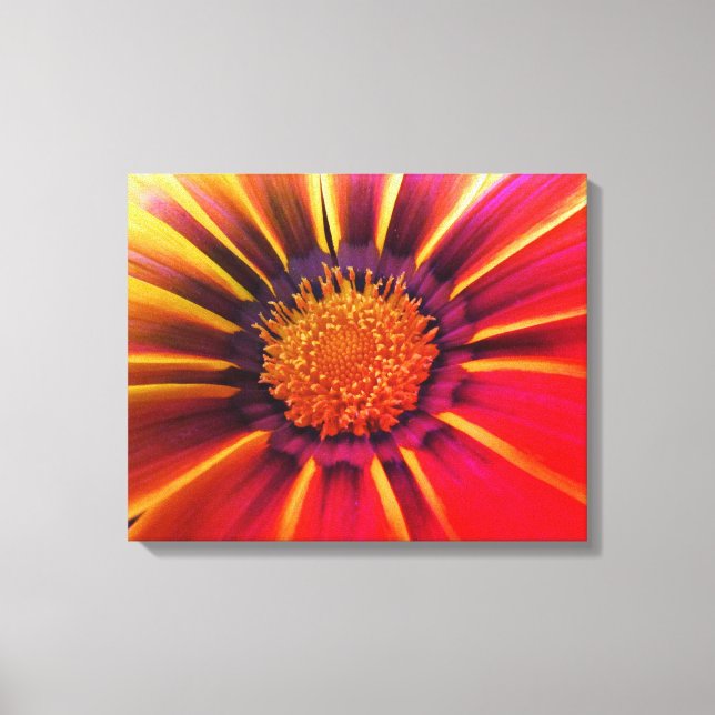 Vivid Colour Gerber Daisy Canvas (Front)