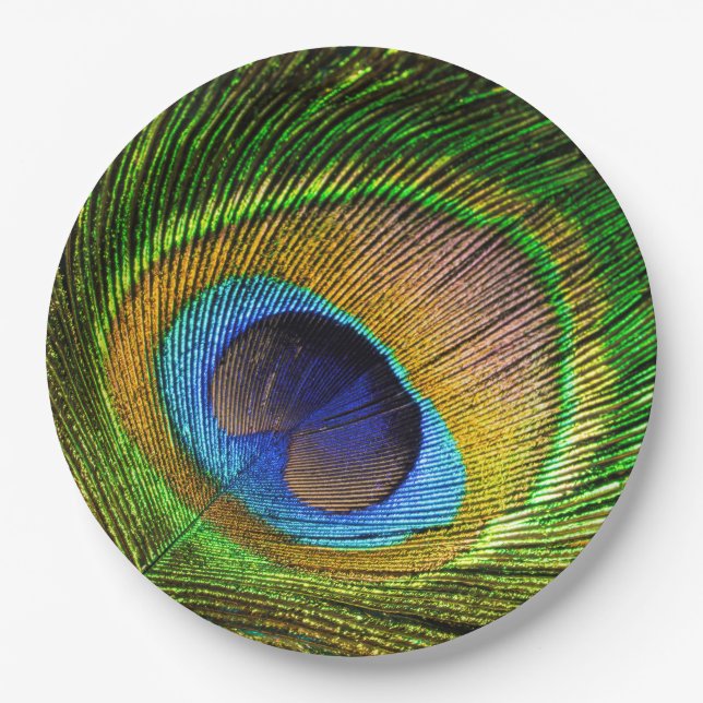 Vivid Feather Paper Plate (Front)