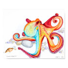 Vivid Octopoda