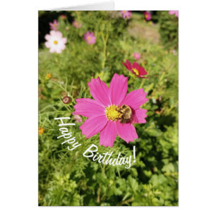 Vivid Pink Cosmos Flower Birthday Card