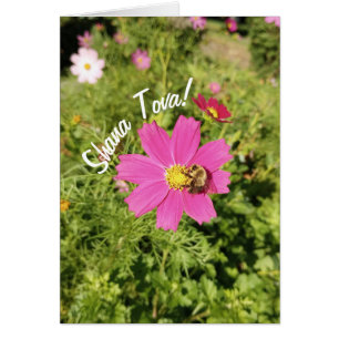 Vivid Pink Cosmos Flower Rosh Hashanah Card