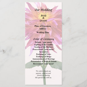 Vivid Pink Dahlia Programme
