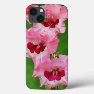 Vivid Pink Gladiolus Flowers in Garden Phone Case
