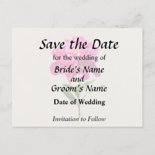 Vivid Pink Peony Announcement Postcard