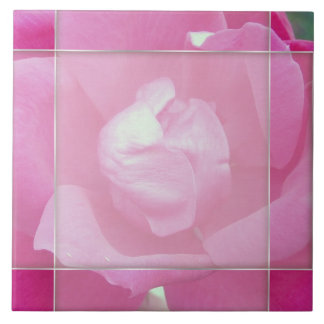 Vivid Pink Rose 2 Photo Ceramic Tiles