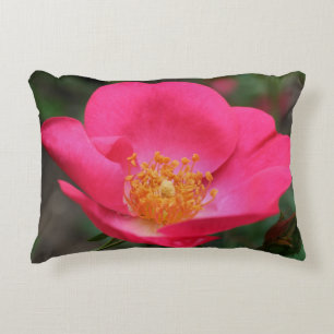 Vivid Pink Rose Petals   Decorative Cushion