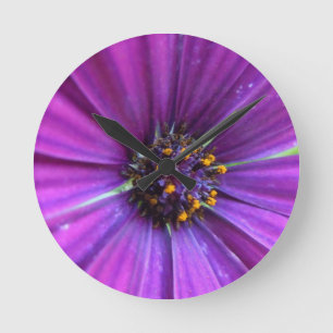 Vivid Purple Daisy Round Clock