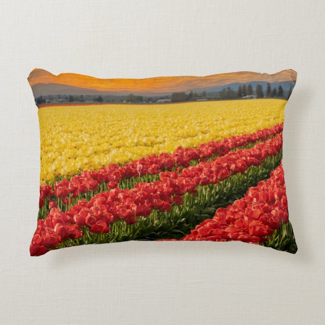 Vivid Red and Gold Tulips in Skagit County Decorative Cushion (Front)
