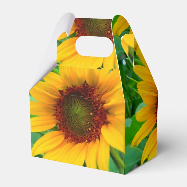 Vivid Sunflower Favour Box (Back Side)