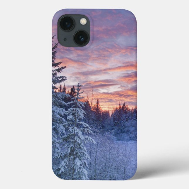 Vivid sunset paints the sky above wintery Case-Mate iPhone case (Back)