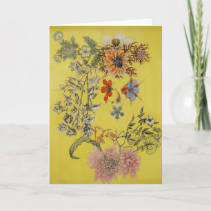 Vixen Card