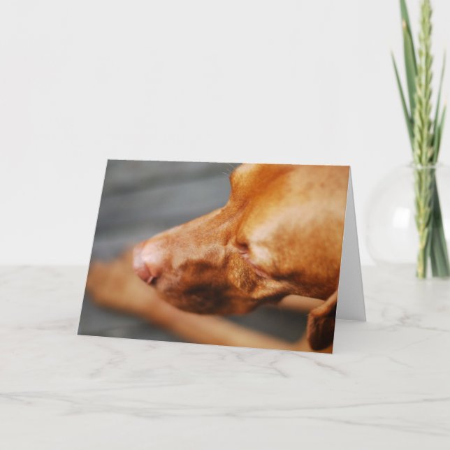 VIZSLA - blank card (Front)