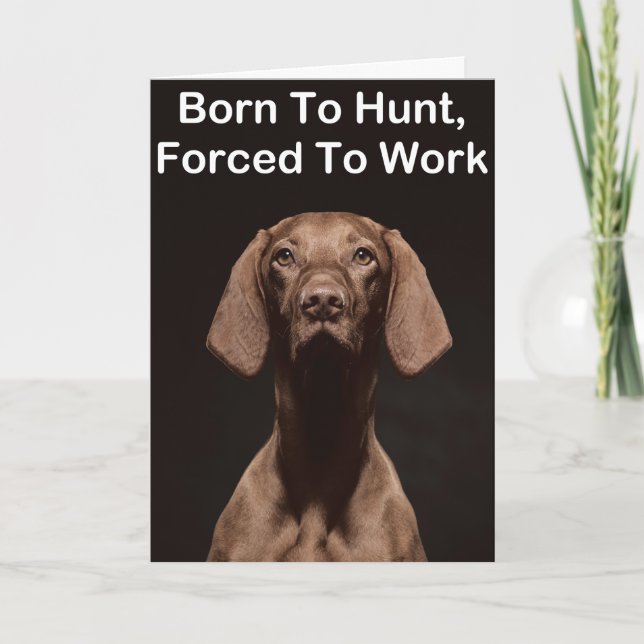 Vizsla Born To Work Card (Front)