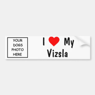 Vizsla Bumper Sticker