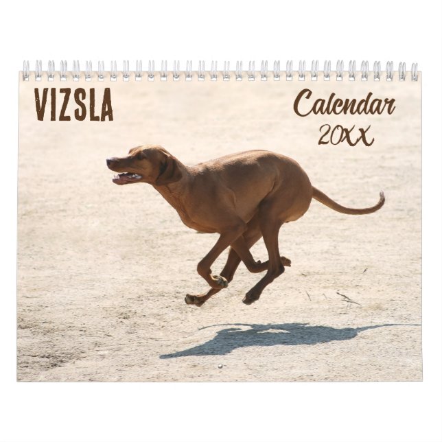 Vizsla calendar 2026 (Cover)