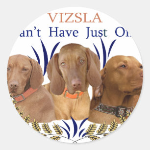 Vizsla Can't Have Just One Products Classic Round Sticker