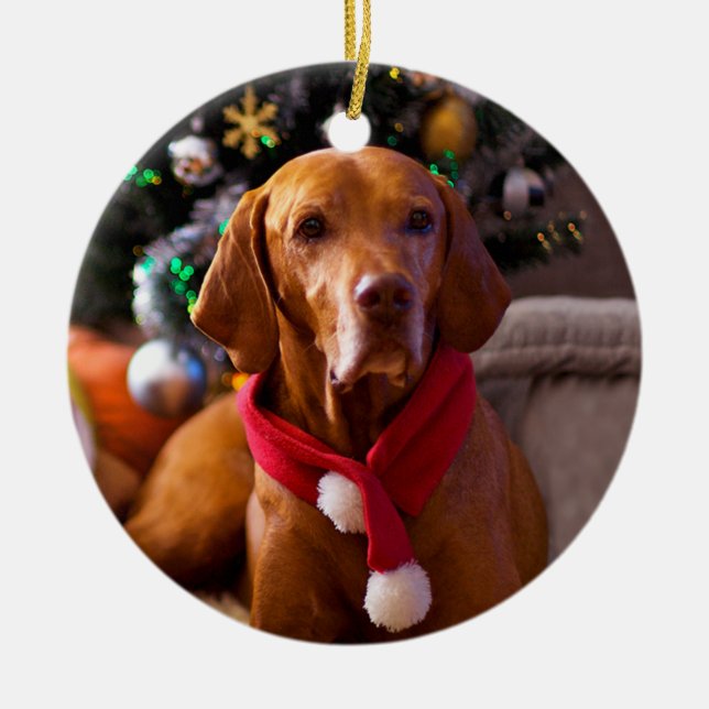 Vizsla Christmas Ornament (Henry) (Front)