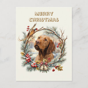 Vizsla Christmas Postcard