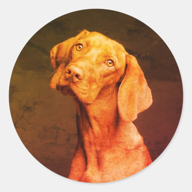 Vizsla Classic Round Sticker (Front)