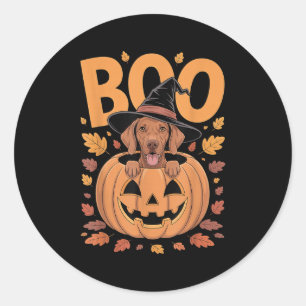 Vizsla Costume On Pumpkin Halloween Vizsla  Classic Round Sticker