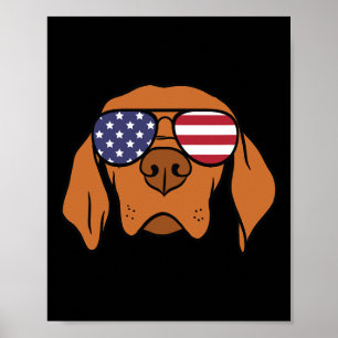 Vizsla Dog 4th Of July  Poster