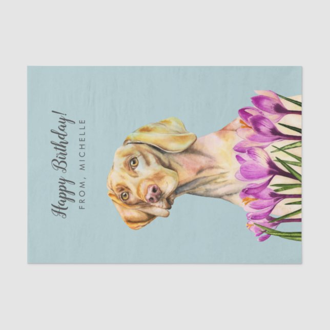 Vizsla Dog Art | Happy Birthday Tissue Paper (Front)
