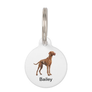Vizsla Dog Breed Monogram Dog ID Tags
