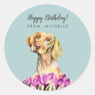 Vizsla Dog Flowers   Happy Birthday Classic Round Sticker