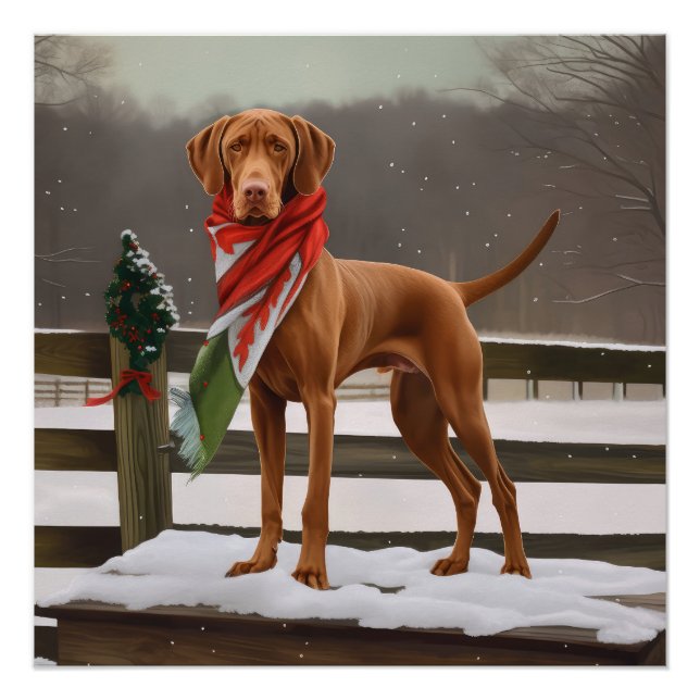 Vizsla Dog in Snow Christmas Poster (Front)
