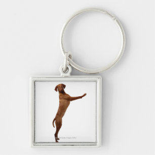 Vizsla Dog Key Ring