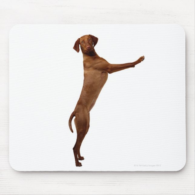 Vizsla Dog Mouse Mat (Front)