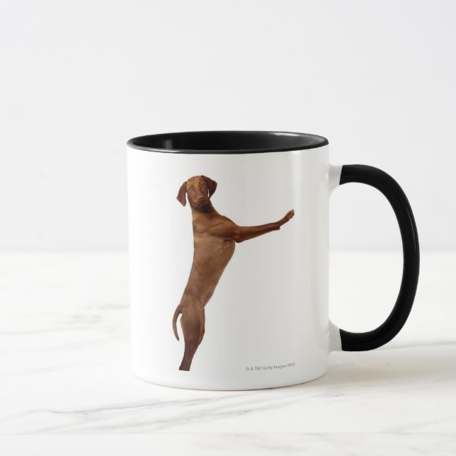 Vizsla Dog Mug (Right)