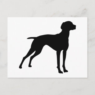 Vizsla Dog Silhouette (black) Postcard