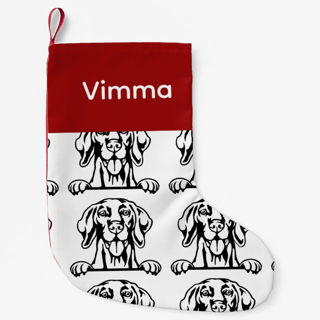 Vizsla dog socks Customised dog Socks - Put Y (Front)