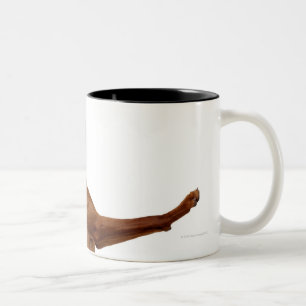 Vizsla Dog Two-Tone Coffee Mug