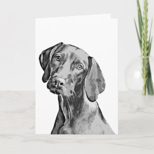 Vizsla Drawing Card