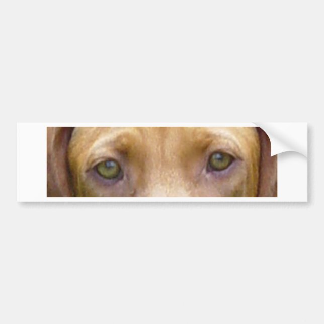 vizsla eyes.png bumper sticker (Front)
