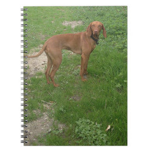 vizsla full notebook