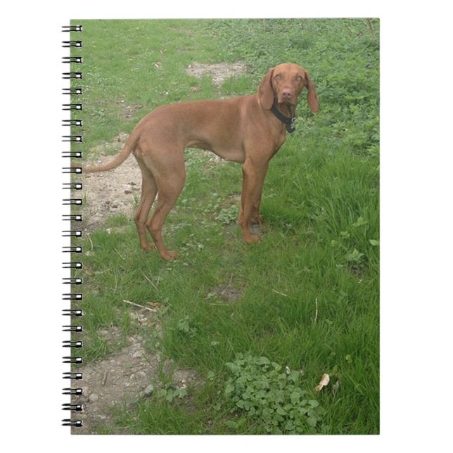 vizsla full notebook (Front)