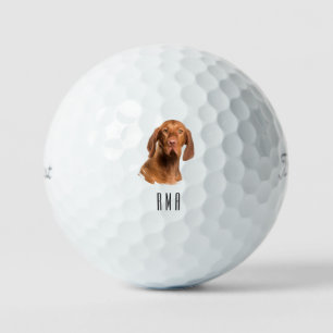 Vizsla Golf Balls