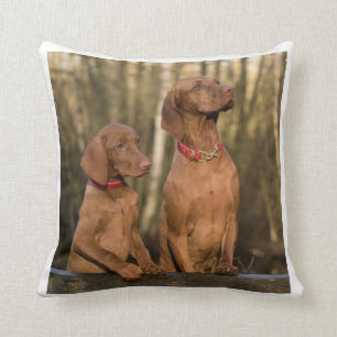 vizsla group cushion