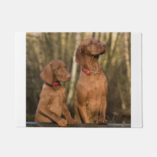 vizsla group doormat