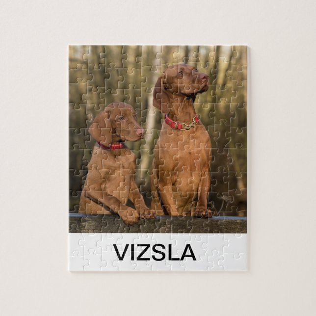 vizsla group jigsaw puzzle (Vertical)