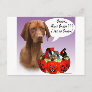 Vizsla Halloween Candy Postcard