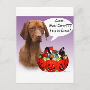 Vizsla Halloween Candy Postcard