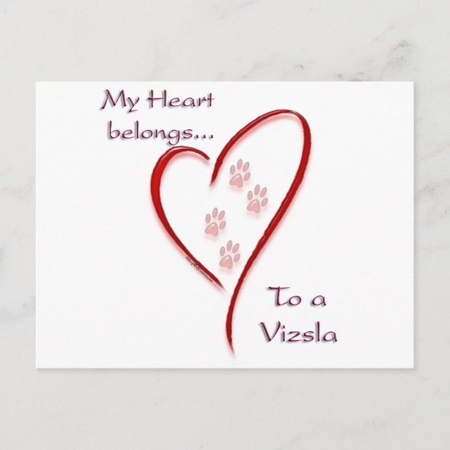 Vizsla Heart Belongs Postcard (Front)