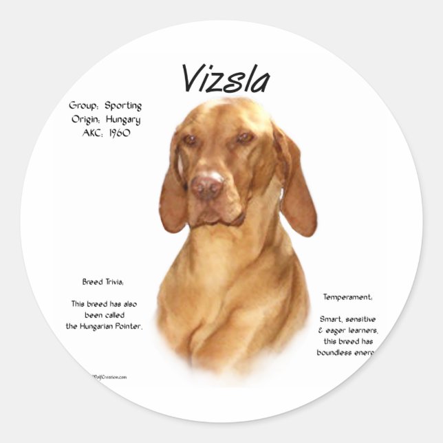 Vizsla History Design Classic Round Sticker (Front)